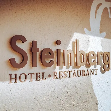 Affittacamere Steinberg Westendorf