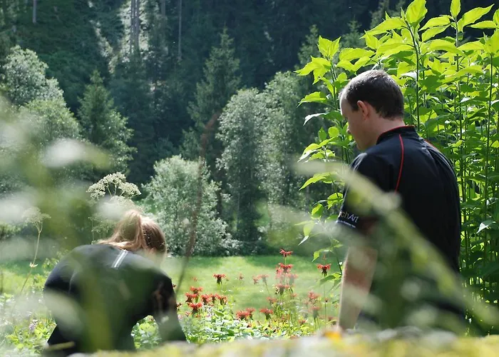 Гостевой дом Steinberg